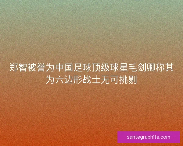 郑智被誉为中国足球顶级球星毛剑卿称其为六边形战士无可挑剔